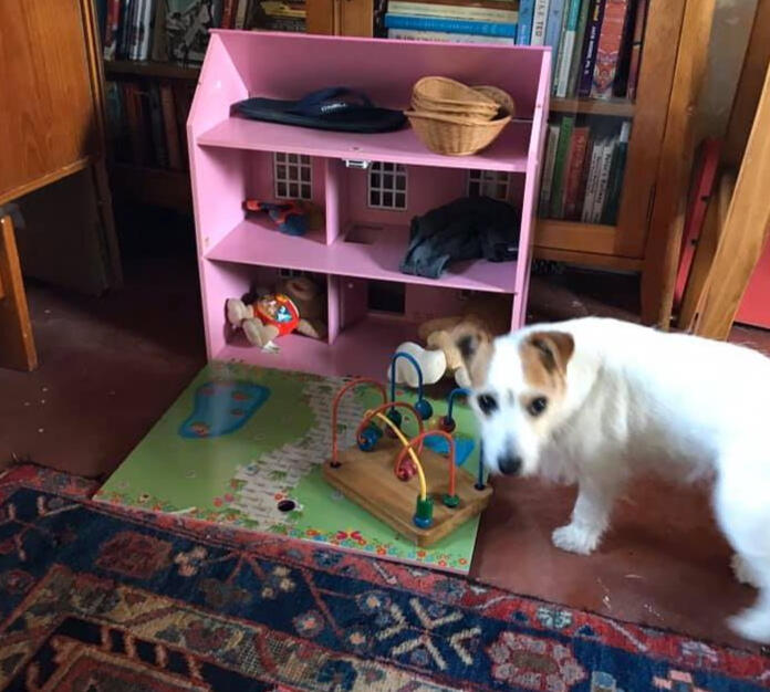 Snuffl QR code to book a session